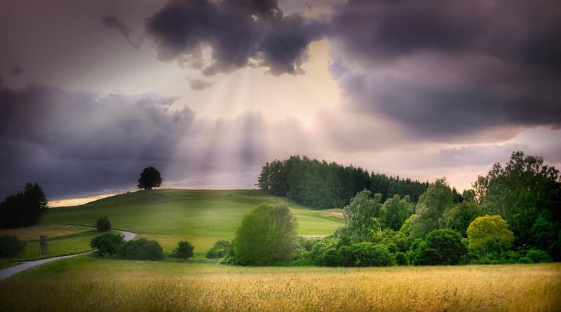 Mystical harvests